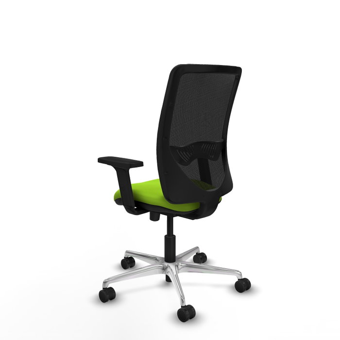 PIQUERAS Y CRESPO Silla de oficina Zulema con mecanismo Sincro/Traslack, Pistacho y Negro PIQUERAS Y CRESPO Silla de oficina Zulema con mecanismo Sincro/Traslack, Pistacho y Negro