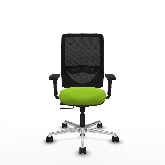 PIQUERAS Y CRESPO Silla de oficina Zulema con mecanismo Sincro/Traslack, Pistacho y Negro PIQUERAS Y CRESPO Silla de oficina Zulema con mecanismo Sincro/Traslack, Pistacho y Negro