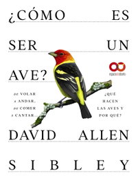 ANAYA MULTIMEDIA, ¿Cómo es ser un ave? De volar a anidar, de comer a cantar... ¿Qué hacen las aves y por qué?