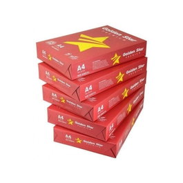 OTROS Golden Star 0039358 500 folios A4 blanco