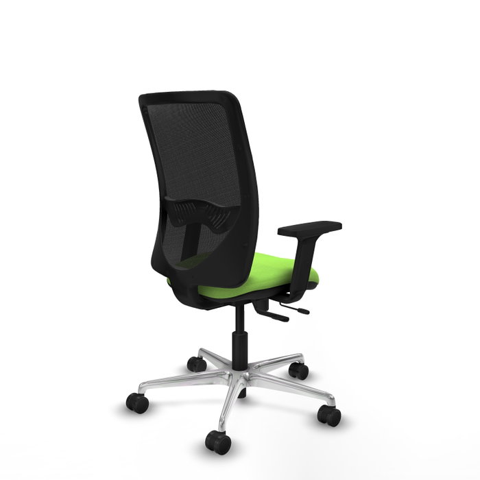 PIQUERAS Y CRESPO Silla de oficina Zulema con mecanismo Sincro/Traslack, Pistacho y Negro PIQUERAS Y CRESPO Silla de oficina Zulema con mecanismo Sincro/Traslack, Pistacho y Negro