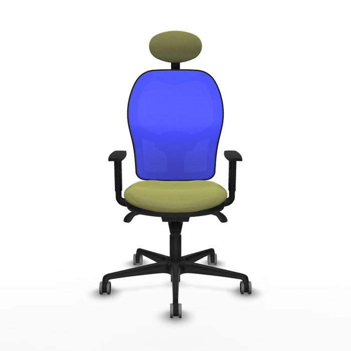 PIQUERAS Y CRESPO Silla de oficina Jorquera con mecanismo Sincro, Tela Verde oliva y Malla Azul, Cabecero Fijo, Brazos 1D, Ruedas 65mm PIQUERAS Y CRESPO Silla de oficina Jorquera con mecanismo Sincro, Tela Verde oliva y Malla Azul, Cabecero Fijo, Brazos 1D, Ruedas 65mm