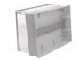 ELEKTRO-PLAST NASIELSK EP-LUX Caja de conexiones IP55 Gris claro