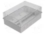 ELEKTRO-PLAST NASIELSK EP-LUX Caja de conexiones IP55 Gris claro