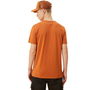 Camiseta de Manga Corta Hombre New Era 12893145 Marrón (S)