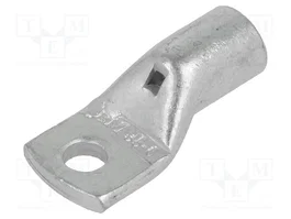 BM GROUP Punta de anillo tubular M6 25÷35mm2