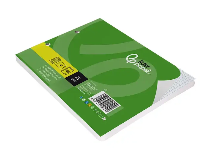 Liderpapel Recambio Din A5 Apaisado, 100 Hojas de Papel Cuadriculado de 75 g/m², 3 mm, 2 Taladros, con Margen, Compatible con Carpetas de Anillas