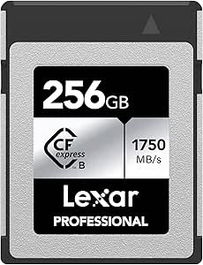 Lexar LCXEXSL256G-RNENG Tarjeta CFexpress Tipo B Profesional Silver, 256 GB, Lectura 1750MB/s, Escritura 1300MB/s