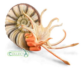 Collecta Amonite Pleuroceras XL 88902 Figura de Colección Jurásica