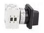 LOVATO ELECTRIC Interruptor de leva GX1652U 16A 2 polos