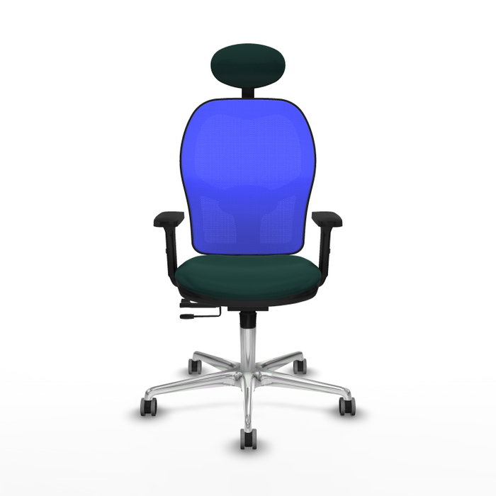 PIQUERAS Y CRESPO Silla de oficina Jorquera Verde botella y Azul