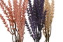 DKD Home Decor Ramas PE Surtido de 3 Colores