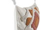 DKD Home Decor Cojín Urban Cushions ch1c25 12 x 30 x 50 cm Poliéster y Algodón 2 Unidades