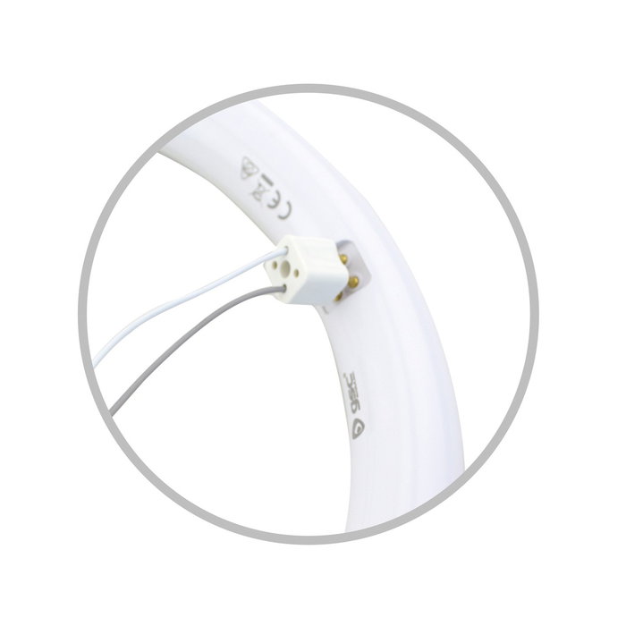 GSC Evolution Tubo circular LED Lisala 30W G10q 6500K
