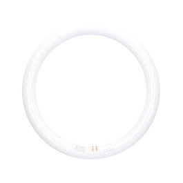 GSC Evolution Tubo circular LED Lisala 30W G10q 6500K