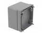 OBO BETTERMANN Carcasa Universal Mx Gris IP66