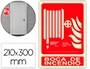 Archivo 2000 Pictograma Boca de Incendio PVC Rojo Luminiscente 210x300 mm