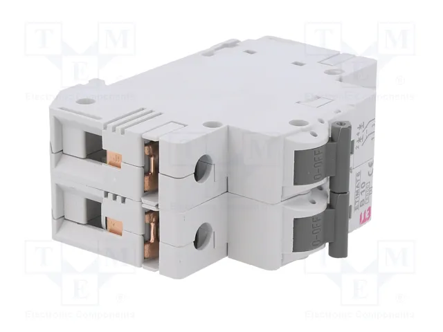 ETI POLAM Interruptor magnetotérmico ETIMAT 6 2P 10A 6kA