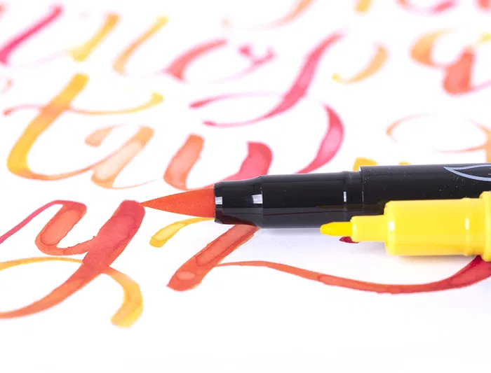 Lyra Rotulador Aqua Brush Duo Caja de 24 Colores con Punta Pincel y Punta Fina para Artistas y Diseñadores Lyra Rotulador Aqua Brush Duo Caja de 24 Colores con Punta Pincel y Punta Fina para Artistas y Diseñadores