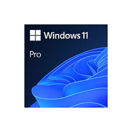 Microsoft Windows 11 Pro 64 Bit ESD-DownloadESD - Licencia Digital para PC