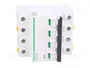 SCHNEIDER ELECTRIC ACTI9 iC60N 63A 4 polos Curva B
