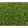 Exelgreen 123103 Césped Sintético Parque 40 mm 1x5m