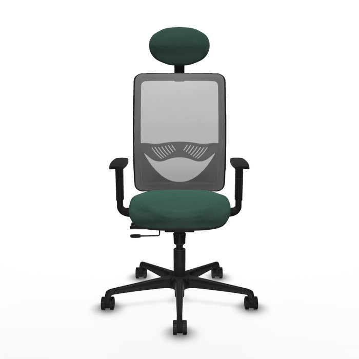 PIQUERAS Y CRESPO Silla de oficina Zulema con mecanismo Sincro/Traslack, Verde botella y Gris PIQUERAS Y CRESPO Silla de oficina Zulema con mecanismo Sincro/Traslack, Verde botella y Gris