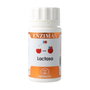 EQUISALUD Enzimax Lactasa 50 cápsulas