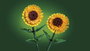 LEGO Botanicals Girasoles 40524