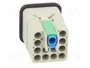 HARTING Han Q12-M-QL Plantilla de contacto macho HDC