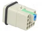 HARTING Han Q12-M-QL Plantilla de contacto macho HDC