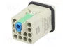 HARTING Han Q12-M-QL Plantilla de contacto macho HDC
