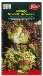 Fito Horticolas Semillas de Lechuga Maravilla de Verano