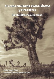 IBEROAMERICANA - VERVUERT, EL LLANO EN LLAMAS, PEDRO PÁRAMO Y OTRAS OBRAS - VV.AA.