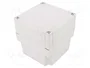 FIBOX MNX Carcasa Universal de Policarbonato Gris