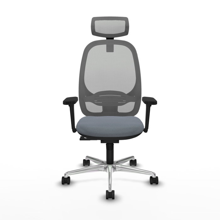 PIQUERAS Y CRESPO Silla de oficina Cilanco con mecanismo Sincro y Brazos 3D, Gris PIQUERAS Y CRESPO Silla de oficina Cilanco con mecanismo Sincro y Brazos 3D, Gris