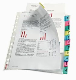 Esselte Funda Multitaladro Cristal A4 85 Micras Con Pestaña Índice Colores