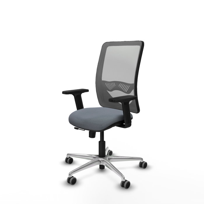 PIQUERAS Y CRESPO Silla de oficina Zulema con mecanismo Sincro/Traslack, Gris PIQUERAS Y CRESPO Silla de oficina Zulema con mecanismo Sincro/Traslack, Gris