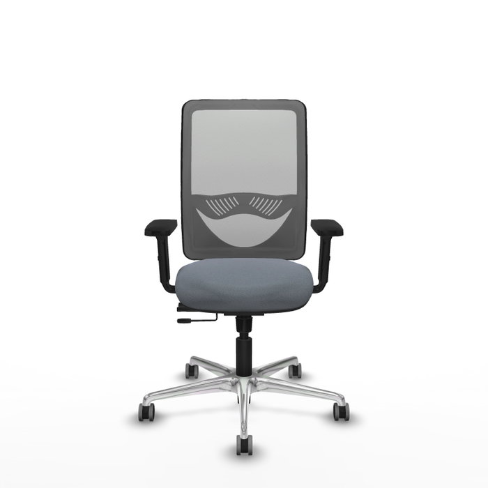 PIQUERAS Y CRESPO Silla de oficina Zulema con mecanismo Sincro/Traslack, Gris PIQUERAS Y CRESPO Silla de oficina Zulema con mecanismo Sincro/Traslack, Gris