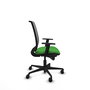 Silla de oficina Alares con mecanismo Sincro tapizada con Tela color Verde y malla color Negro. Equipada con lumbar 1D, Brazos 1D y Ruedas 65mm nailon