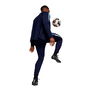 Chándal para Adultos Puma Individualliga Track Azul marino 42-44
