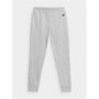 Pantalón de Chándal para Niños 4F Gris 14-16 Años