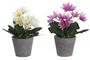 DKD Home Decor Planta Poliéster Lotus Surtida 8x8x18 cm
