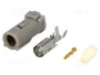 4CARMEDIA Conector de antena recto Avic para cable RG174 y Pioneer