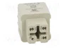 HARTING Han® A Plantilla de Contacto Hembra HDC