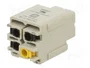 HARTING Han® A Plantilla de Contacto Hembra HDC