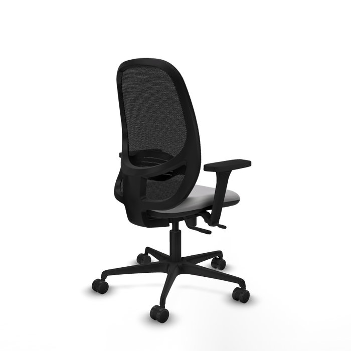 PIQUERAS Y CRESPO Silla de oficina Cilanco con mecanismo Sincro/Traslack, Gris claro y Negro PIQUERAS Y CRESPO Silla de oficina Cilanco con mecanismo Sincro/Traslack, Gris claro y Negro