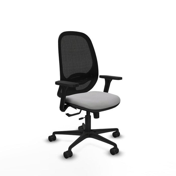 PIQUERAS Y CRESPO Silla de oficina Cilanco con mecanismo Sincro/Traslack, Gris claro y Negro PIQUERAS Y CRESPO Silla de oficina Cilanco con mecanismo Sincro/Traslack, Gris claro y Negro