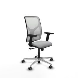 PIQUERAS Y CRESPO Silla de oficina Motilla con mecanismo Sincro, Gris claro y Blanco