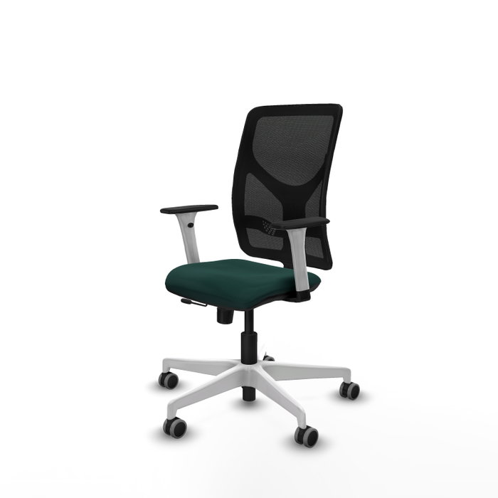 PIQUERAS Y CRESPO Silla de oficina Motilla con mecanismo Sincro/Traslack, Verde botella y Negro PIQUERAS Y CRESPO Silla de oficina Motilla con mecanismo Sincro/Traslack, Verde botella y Negro